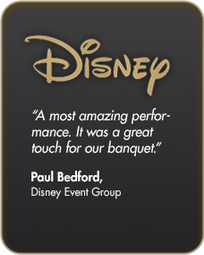 disney disney